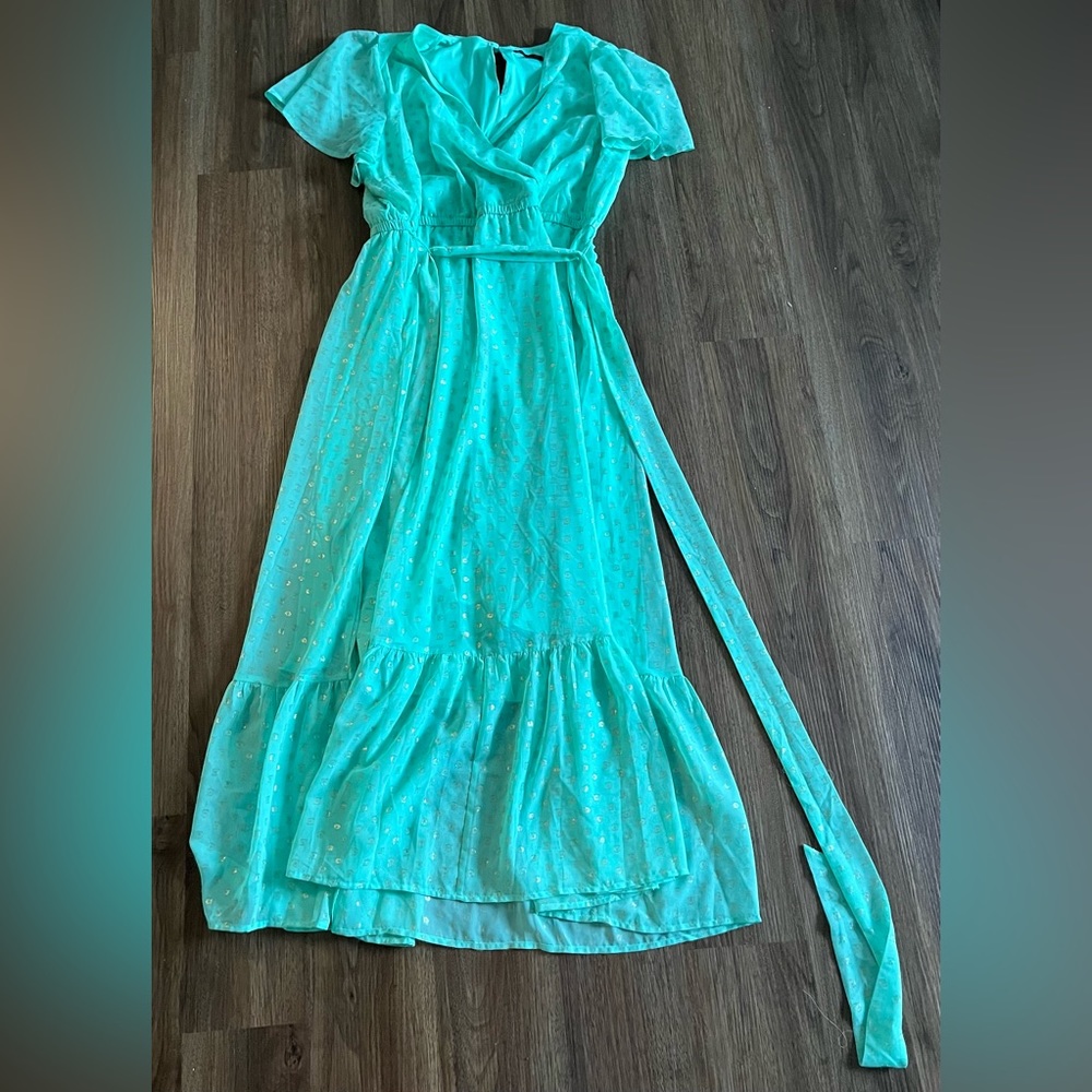 Lane Bryant size 18 dress
